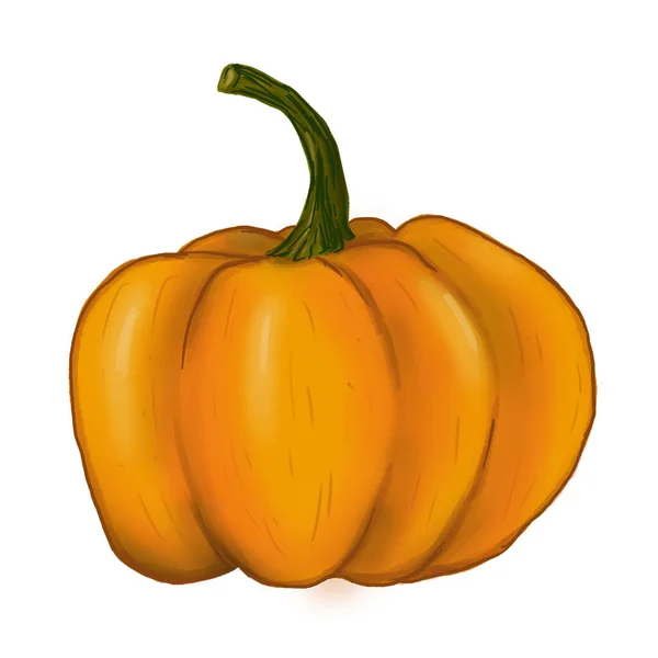 Bright Yellow Little Pumpkin — Stock Photo, Image