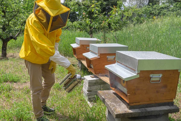 Peternak Lebah Muda Dalam Pekerjaan Perlindungan Kuning Menggunakan Perokok Atas — Stok Foto