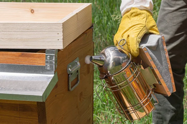 Detailní Záběr Týmu Včelích Dělníků Budujících Šestiúhelníkové Buňky Nově Přidaném — Stock fotografie