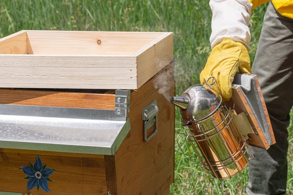 Primer Plano Equipo Abejas Obreras Que Construyen Células Forma Hexagonal —  Fotos de Stock