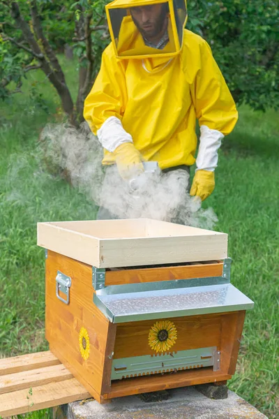 Mladý Včelař Žlutých Ochranných Pracovních Oděvech Používá Kuřáka Přes Tělo — Stock fotografie