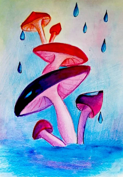Color Illustration Colorful Mushrooms — Stock Photo, Image