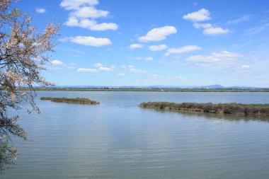 Palavas les flots, Languedoc sahilinde bir sahil beldesi, Fransa