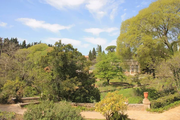 Der Berühmte Historische Botanische Garten Und Arboretum Von Montpellier Der — Stockfoto