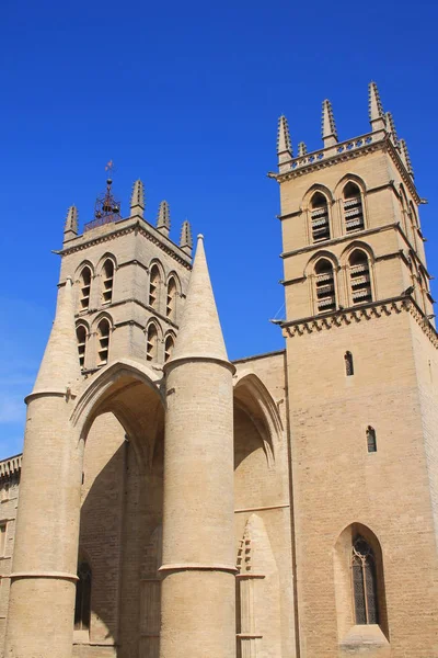 Peterskyrkan Montpellier Romersk Katolsk Kyrka Gotisk Arkitekturstil — Stockfoto