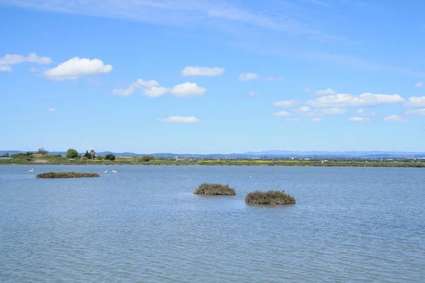 Palavas Les Flots Приморський Курорт Узбережжі Лангедок Франція — стокове фото