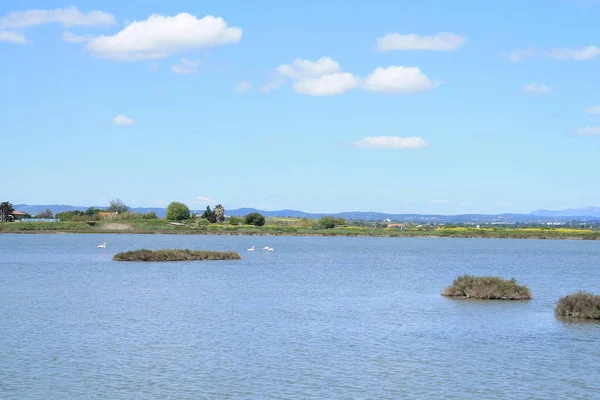 Palavas Les Flots Приморський Курорт Узбережжі Лангедок Франція — стокове фото