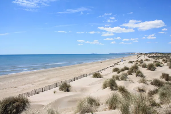 Naturalna Dzika Plaża Pięknym Rozległym Obszarem Wydm Region Camargue Południowej — Zdjęcie stockowe