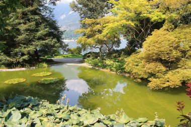 Bellagio Botanik bahçesi, Lombardiya İtalyan bölgesinde Como Eyaleti. Yeryüzündeki Cennet, Güzel İtalya