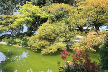 Bellagio Botanik bahçesi, Lombardiya İtalyan bölgesinde Como Eyaleti. Yeryüzündeki Cennet, Güzel İtalya