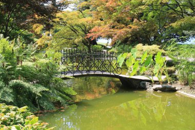 Bellagio Botanik bahçesi, Lombardiya İtalyan bölgesinde Como Eyaleti. Yeryüzündeki Cennet, Güzel İtalya