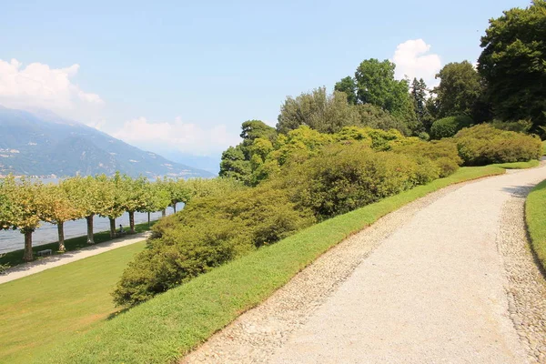 Botaniska Trädgården Bellagio Provinsen Como Den Italienska Regionen Lombardiet Paradis — Stockfoto