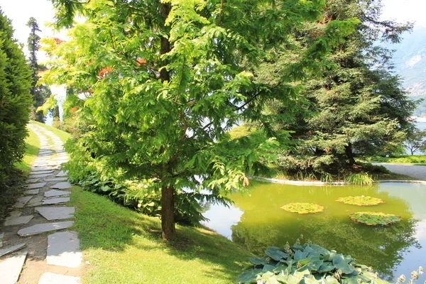 Jardim Botânico Bellagio Província Como Região Italiana Lombardia Paraíso Terra — Fotografia de Stock