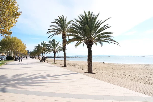 Hermosa Playa Roses Ciudad Mediterránea Situada Costa Brava Cataluña España —  Fotos de Stock