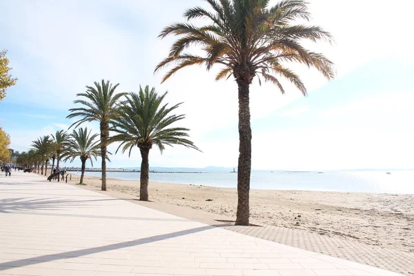 Hermosa Playa Roses Ciudad Mediterránea Situada Costa Brava Cataluña España —  Fotos de Stock