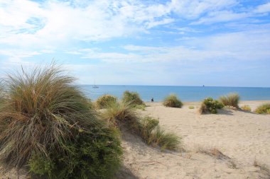 Kumulların güzel ve geniş bir alana sahip doğal ve vahşi plaj, Montpellier güneyinde Camargue bölgesi, Fransa