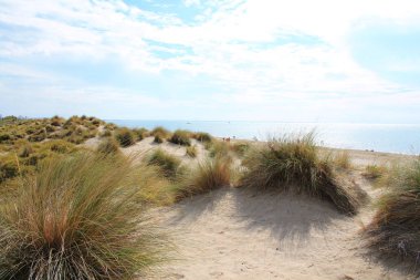 Kumulların güzel ve geniş bir alana sahip doğal ve vahşi plaj, Montpellier güneyinde Camargue bölgesi, Fransa