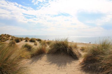 Kumulların güzel ve geniş bir alana sahip doğal ve vahşi plaj, Montpellier güneyinde Camargue bölgesi, Fransa
