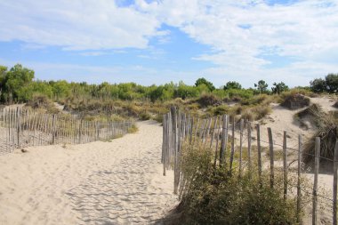 Natural and wild beach with a beautiful and vast area of dunes, Camargue region in the South of Montpellier, France clipart