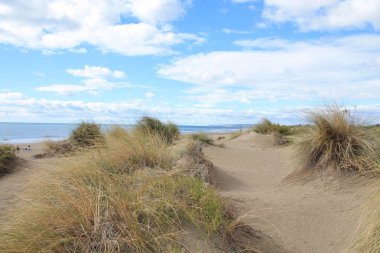 Kumulların güzel ve geniş bir alana sahip doğal ve vahşi plaj, Montpellier güneyinde Camargue bölgesi, Fransa