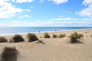 Kumulların güzel ve geniş bir alana sahip doğal ve vahşi plaj, Montpellier güneyinde Camargue bölgesi, Fransa
