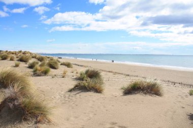 Kumulların güzel ve geniş bir alana sahip doğal ve vahşi plaj, Montpellier güneyinde Camargue bölgesi, Fransa