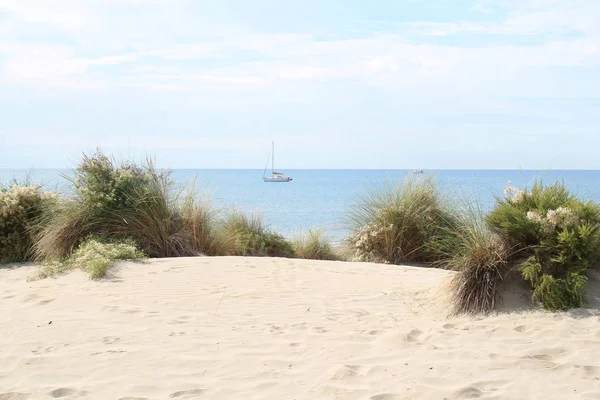 Niesamowite Piaszczystej Plaży Regionie Camargue Południowej Francji — Zdjęcie stockowe