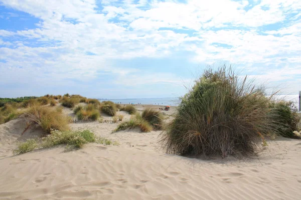 Increíble Playa Arena Región Camargue Sur Francia — Foto de Stock