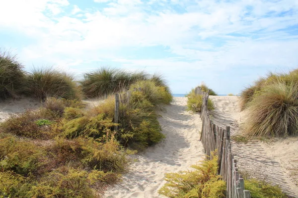 Increíble Playa Arena Región Camargue Sur Francia — Foto de Stock