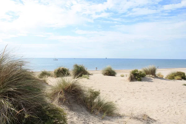 Niesamowite Piaszczystej Plaży Regionie Camargue Południowej Francji — Zdjęcie stockowe