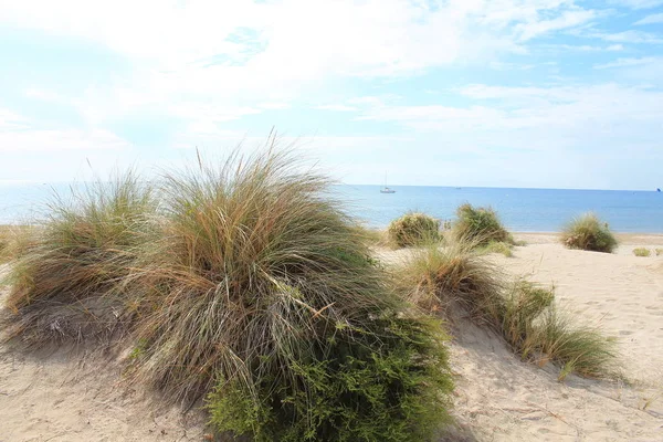 Naturalna Dzika Plaża Pięknym Rozległym Obszarem Wydm Region Camargue Południowej — Zdjęcie stockowe