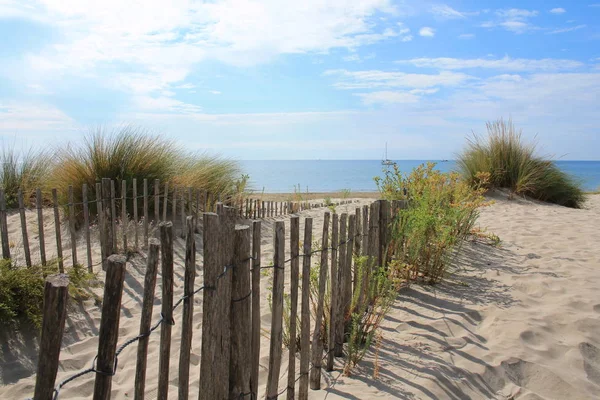 Natural Wild Beach Beautiful Vast Area Dunes Camargue Region South — Stock Photo, Image