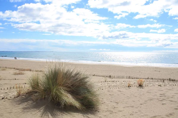 Natürlicher Und Wilder Strand Mit Einem Wunderschönen Und Ausgedehnten Dünengebiet — Stockfoto