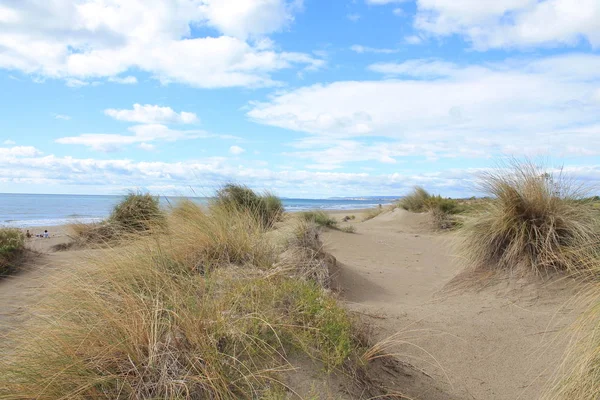 Natürlicher Und Wilder Strand Mit Einem Wunderschönen Und Ausgedehnten Dünengebiet — Stockfoto