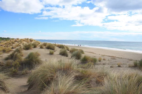 Plage Naturelle Sauvage Avec Une Belle Vaste Zone Dunes Région — Photo