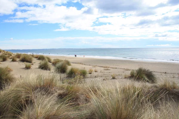 Kumulların güzel ve geniş bir alana sahip doğal ve vahşi plaj, Montpellier güneyinde Camargue bölgesi, Fransa