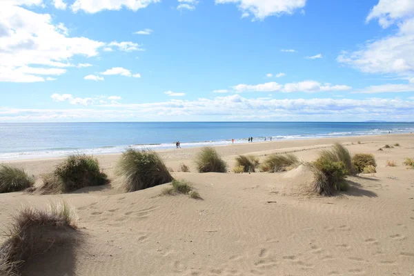 Természetes Vad Strand Gyönyörű Hatalmas Terület Dűnék Camargue Régió Dél — Stock Fotó