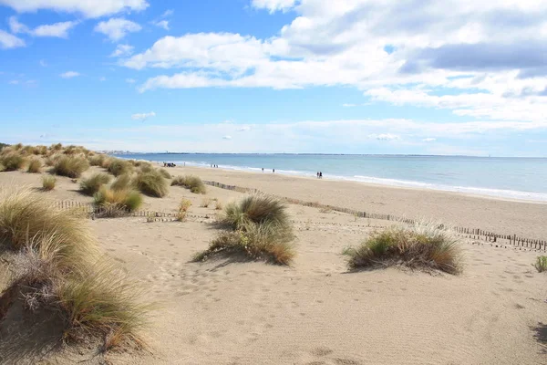 Kumulların güzel ve geniş bir alana sahip doğal ve vahşi plaj, Montpellier güneyinde Camargue bölgesi, Fransa