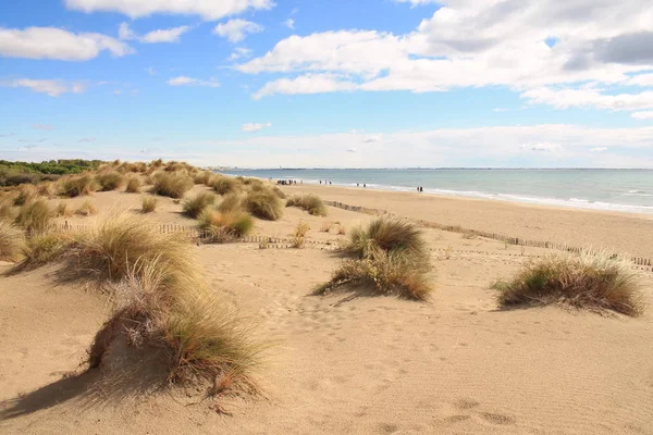 Playa Natural Salvaje Con Una Hermosa Vasta Zona Dunas Región — Foto de Stock