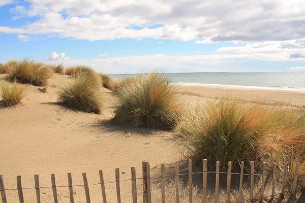 Playa Natural Salvaje Con Una Hermosa Vasta Zona Dunas Región — Foto de Stock
