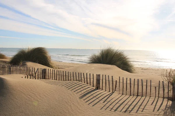 Playa Natural Salvaje Con Una Hermosa Vasta Zona Dunas Región — Foto de Stock