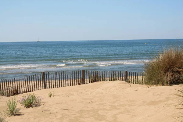 Naturalna Dzika Plaża Pięknym Rozległym Obszarem Wydm Region Camargue Południowej — Zdjęcie stockowe