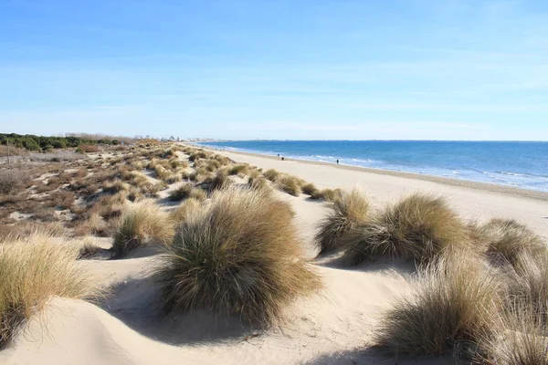 Playa Natural Salvaje Con Una Hermosa Vasta Zona Dunas Región — Foto de Stock