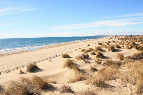 Naturalna Dzika Plaża Pięknym Rozległym Obszarem Wydm Region Camargue Południowej — Zdjęcie stockowe