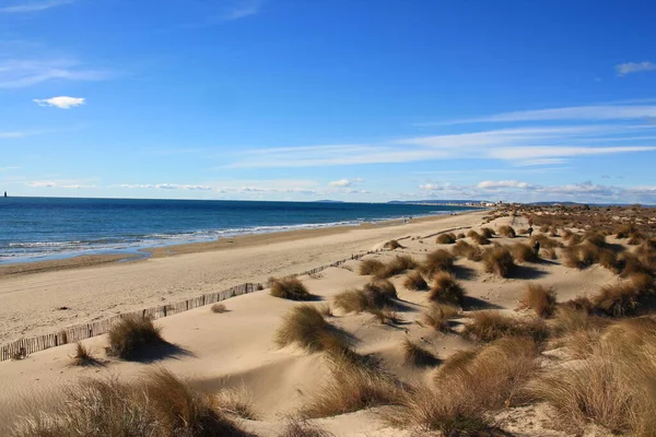 砂丘の美しく広大な地域を持つ自然と野生のビーチ モンペリエ南部のカマルグ地域 フランス — ストック写真