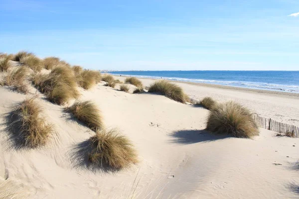 Playa Natural Salvaje Con Una Hermosa Vasta Zona Dunas Región — Foto de Stock