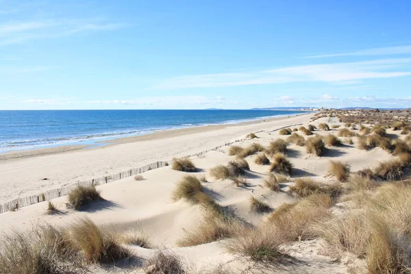 Playa Natural Salvaje Con Una Hermosa Vasta Zona Dunas Región Imágenes de stock libres de derechos