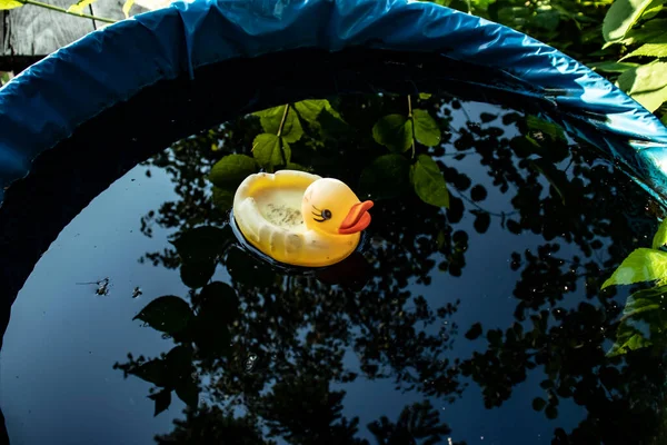 Pato Borracha Amarela Brinquedo Flutuando Água Jogos Infantis País — Fotografia de Stock