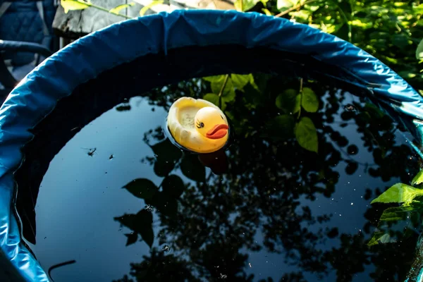 Pato Borracha Amarela Brinquedo Flutuando Água Jogos Infantis País — Fotografia de Stock