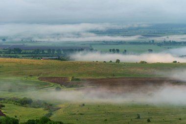 Muhteşem bir yaz sabahı sisli ve sisli çayırlarda ağaçlar ve çimenler sisli.